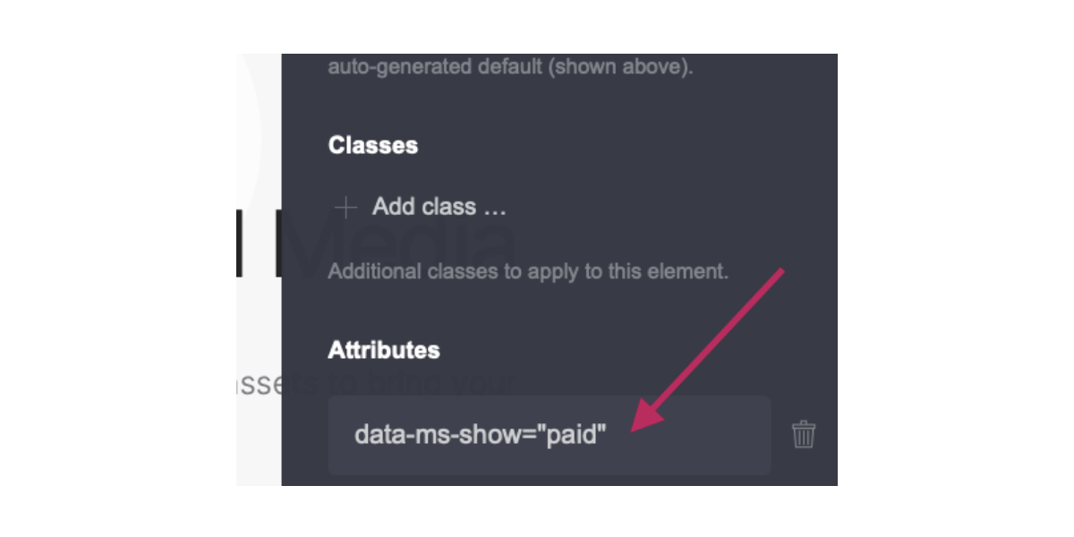MemberSpace Paid Attribute